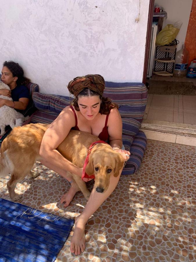 Dahab Tribe Guest House ภายนอก รูปภาพ